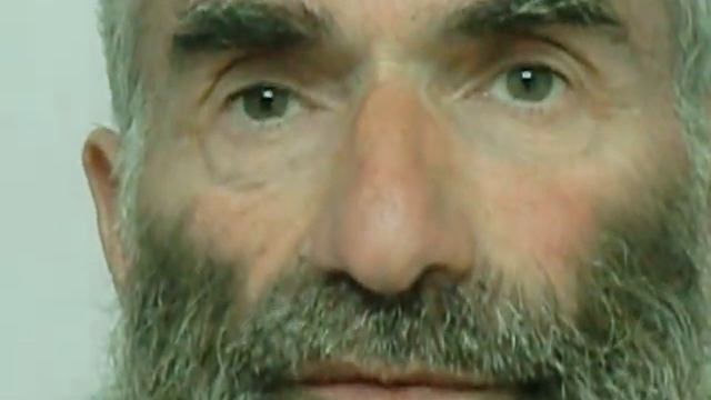 Дерево смотреть онлайн