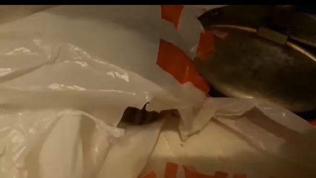 Прогулка по квартире. Румтур бурундука😆 смотреть онлайн
