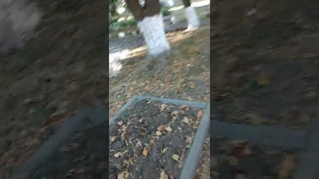 Ул.Ленина 9 плывем,Венеция по Вязниковски😉 смотреть онлайн