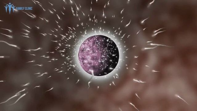 Weight Gain during IVF Treatment - Dr Kavita смотреть онлайн