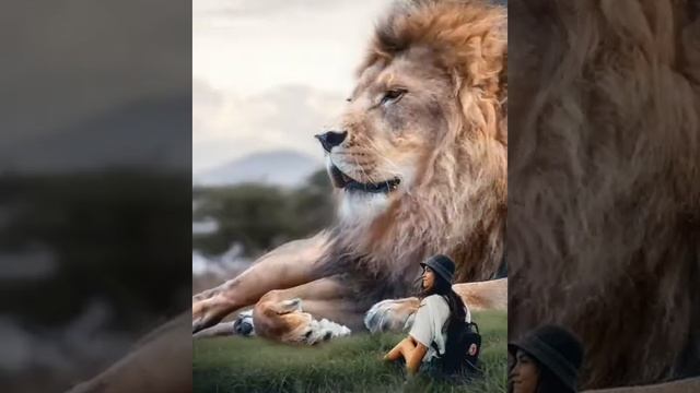 Ben seni uzaklardan seviyorum. смотреть онлайн