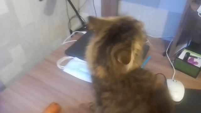 ШОК!! ЧТО СДЕЛАЛ ЛЕТОВ С ВЕНЕЙ ДЫРКИНЫМ!!!?? смотреть онлайн