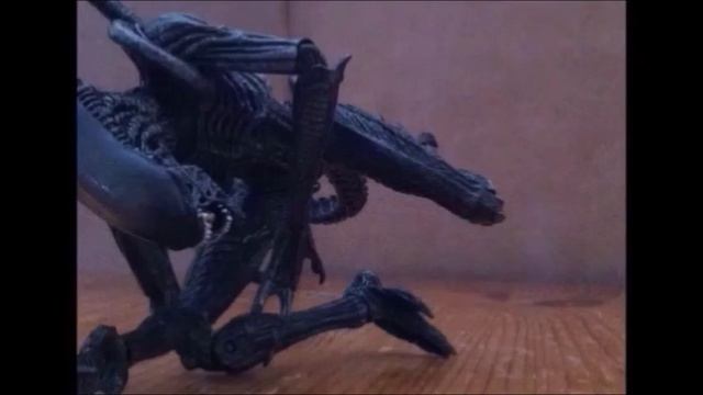 VS! Alien VS Predator - Scar Predator VS Warrior Alien смотреть онлайн