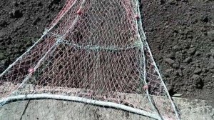 Донный трал облегчённый