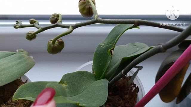 24 января 2023 г. смотреть онлайн