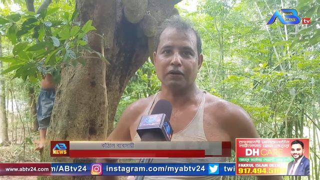 বিয়ানীবাজারে কাঁঠালের বাম্পার ফলন смотреть онлайн