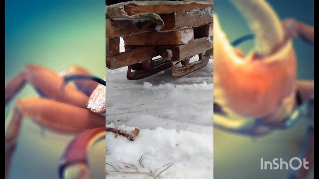 ПОКАТУШКИ НА ОГРОМНОЙ ТАЧКЕ! смотреть онлайн