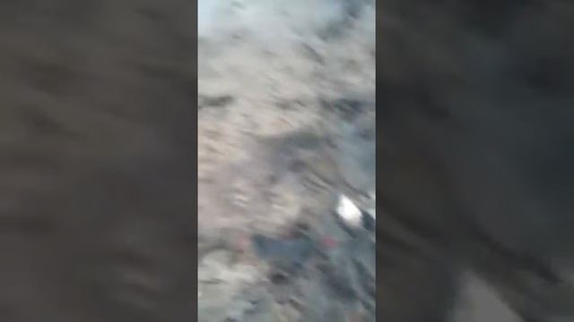Сазаны руками смотреть онлайн