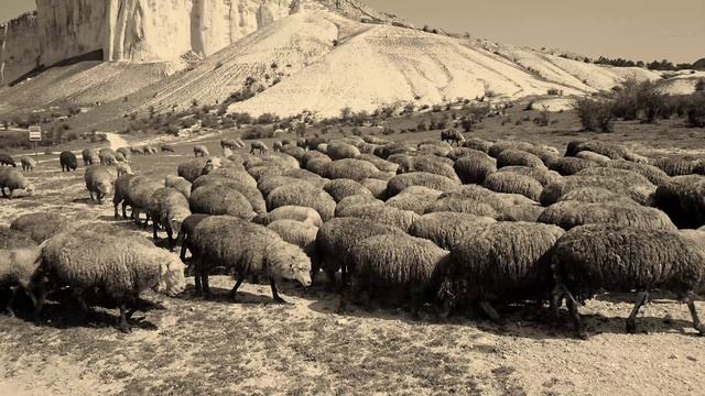 №171. 2-ой день СЛАЙД-ШОУ