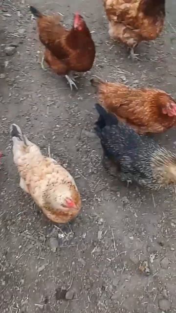 21 апреля 2023 г. смотреть онлайн