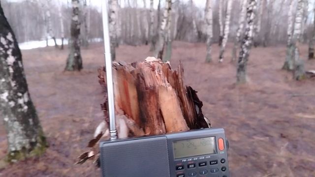 XHDATA D-808. ТРОЙКА И АКТИВНАЯ СОРОКОВКА