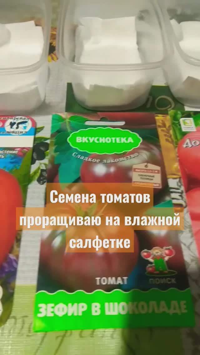 Подготовка к посеву томатов смотреть онлайн