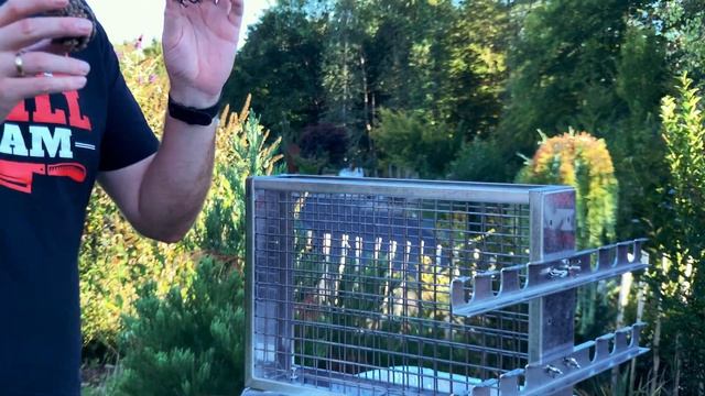 Garnelen grillen am Vertikalgrill смотреть онлайн