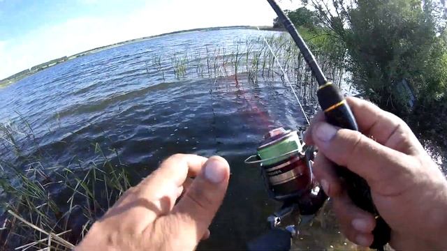 Ловля окуня на микроджиг. Разведал новый пруд... смотреть онлайн