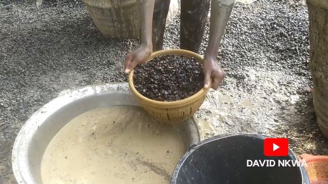 Palm Oil production in Southern Nigeria смотреть онлайн