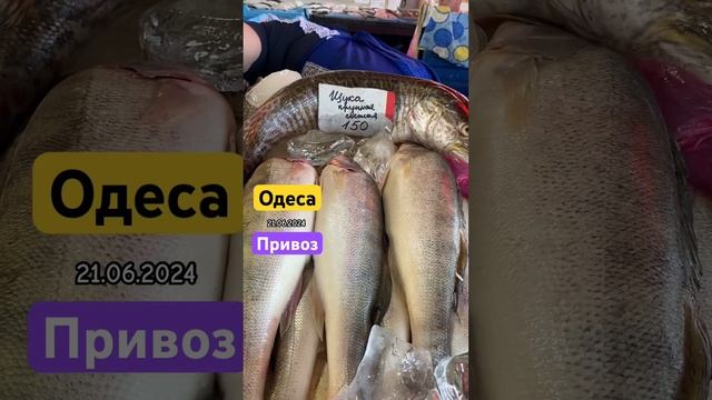 Одеса Привоз 🐠🐟 #одеса #привоз смотреть онлайн