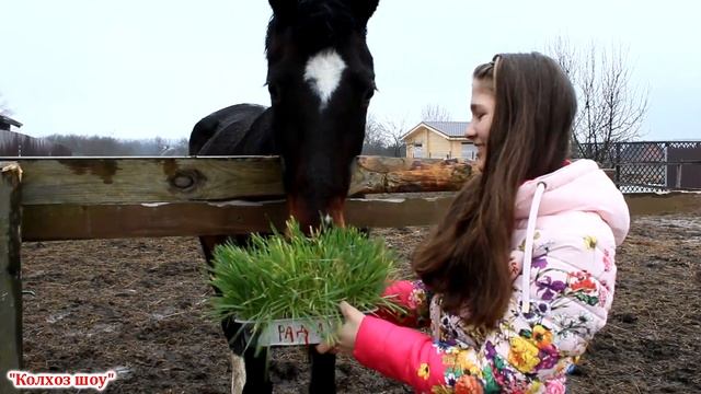 С праздником наши дорогие половинки смотреть онлайн