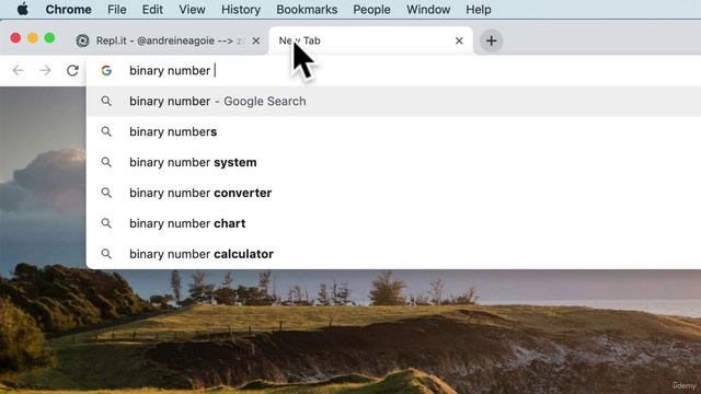 025 Optional_ bin() and complex смотреть онлайн