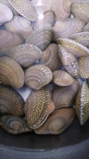 SHELL #shorts #satisfying #cooking #seafoods #chinese смотреть онлайн