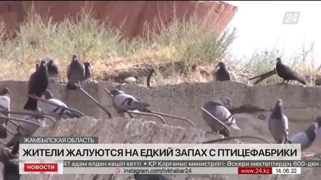 Выпуск новостей 18:00 от 14.06.2022 смотреть онлайн