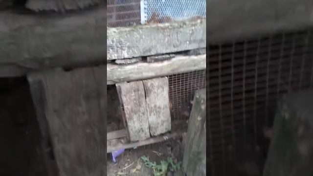 24 часа Амин говорит да часть 1 смотреть онлайн