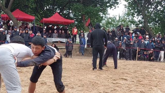Күрөш р.Карасуу Шералы айылы Азия чемпиондору келди. смотреть онлайн