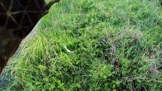В ЭТИХ РУЧЬЯХ ЖИВУТ ЗУБАСТЫЕ ЩУКИ!!! ХИЩНИЦЫ ЗАБРОШЕНЫХ РУЧЬЁВ ЖРУТ ПРИМАНКИ в ЗАГЛОТ. Рыбалка 2022 смотреть онлайн