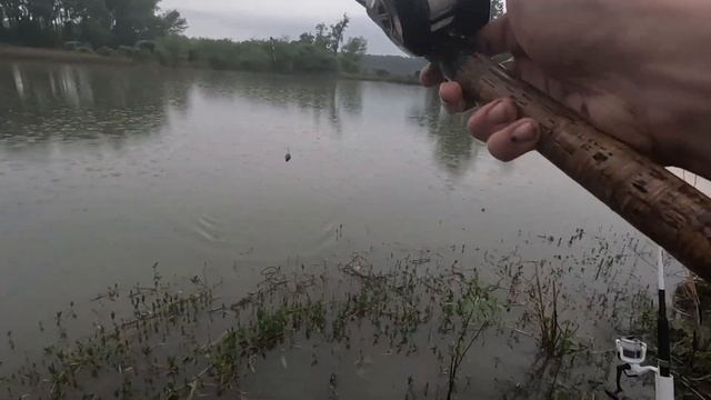 Bank Fishing Mississippi River Bar Pit for Catfish! смотреть онлайн
