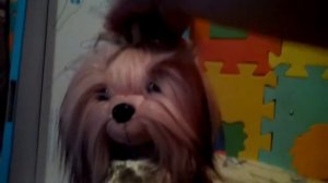 Обзор + распоковка собачки лаки доги Йорк Iucky DOGG