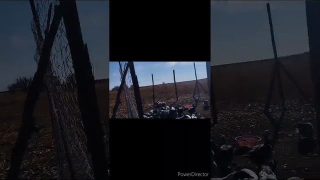 обзор утиного хозяйства часть 2 смотреть онлайн
