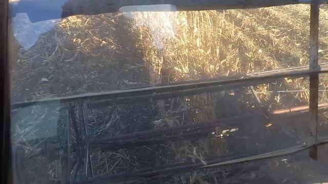 Молотим кукурудзу батька комбайном нива смотреть онлайн