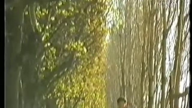 Leslie Cheung 張國榮 - 情感的刺（日落巴黎音樂特輯） смотреть онлайн