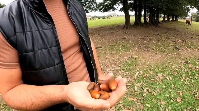 Лямбли Аскариды ихны сынавя как уничтожить смотреть онлайн