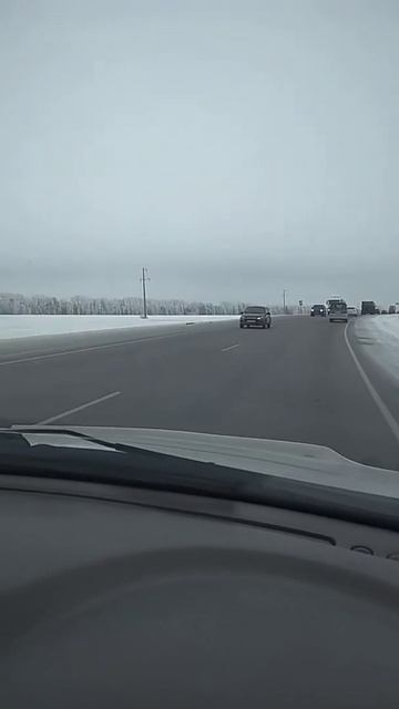 Трасса М52 или Р256 загруженость дороги, смотреть онлайн
