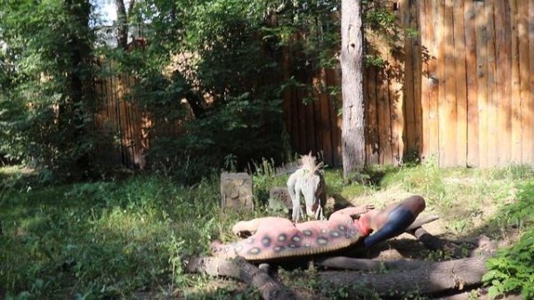 Динозавры в ДИНОПАРКЕ