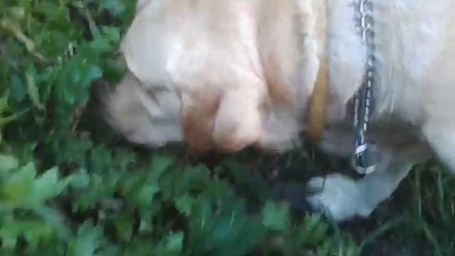 video 2014 07 19 17 24 28 смотреть онлайн