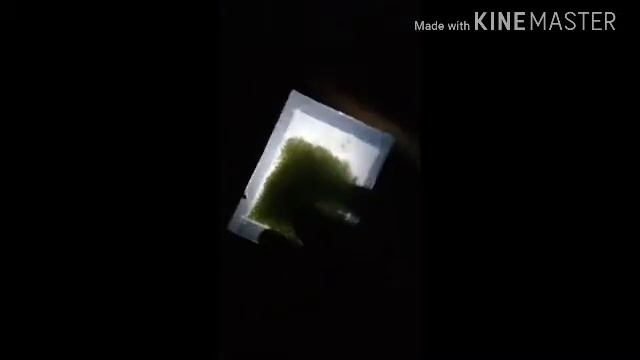24 ЧАСА ПОД СТОЛОМ!-ПОБЕДА! смотреть онлайн