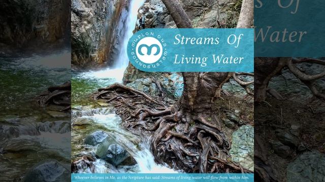 Streams Of Bubbling Water смотреть онлайн