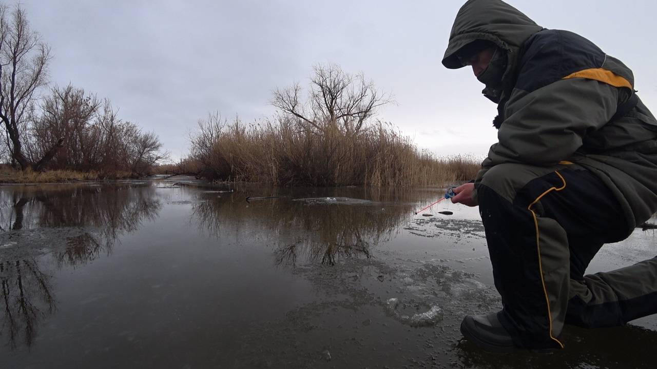 Эта лужа радует злыми поклёвками! Зимняя рыбалка смотреть онлайн