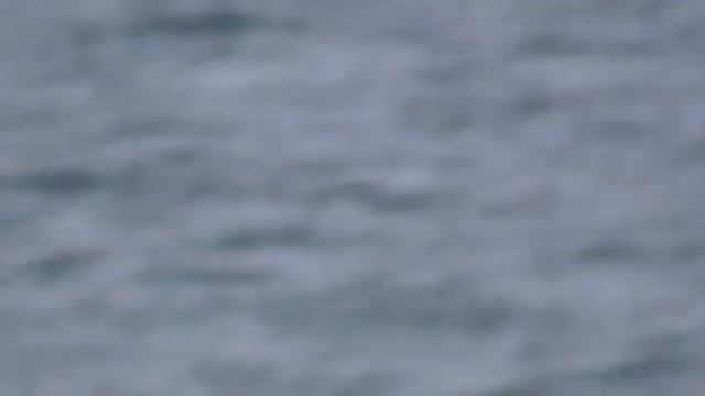 JVC 305 смотреть онлайн