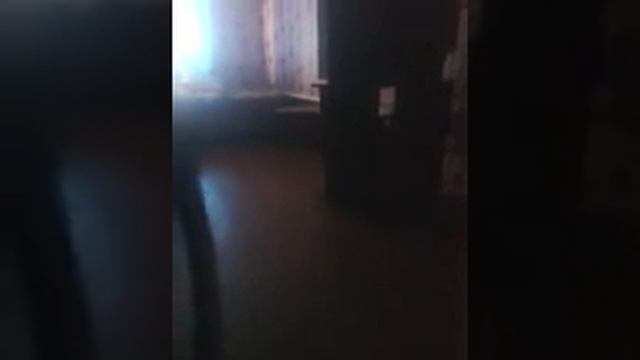 челендж 24 часа сидим в тихушку у себя дома смотреть онлайн