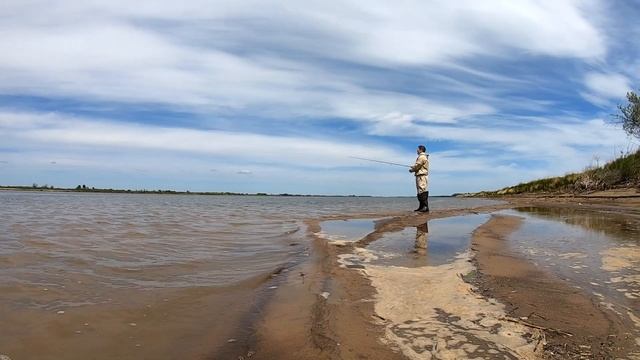 Погнали ловить красноперку с берега смотреть онлайн