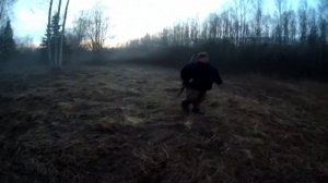 Лучшая охота на вальдшнепа ,охота на вальдшнепа весной