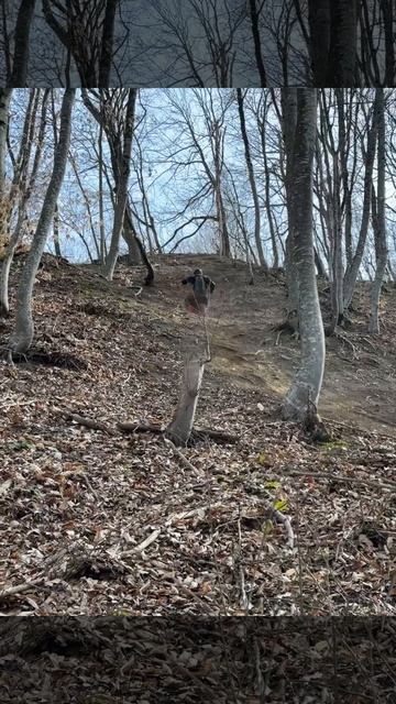 #hardenduro #enduro #moto #motovlog #enduromoto Мото покатушки на китайском мотоцикле ￼ смотреть онлайн