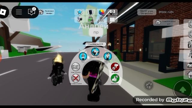 играю в Брук и у меня запись вырубилась