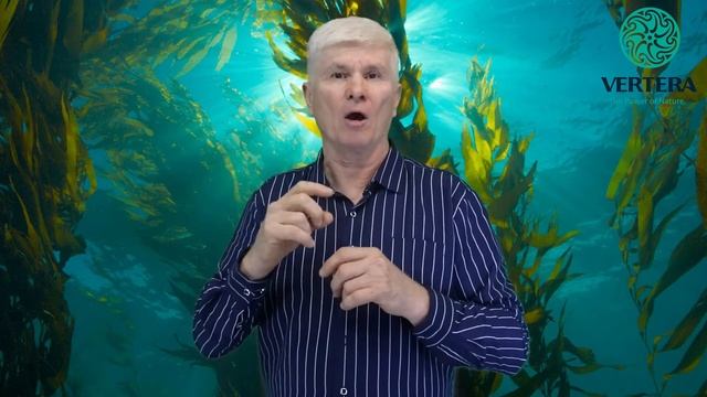 Вертера Гел Форте смотреть онлайн