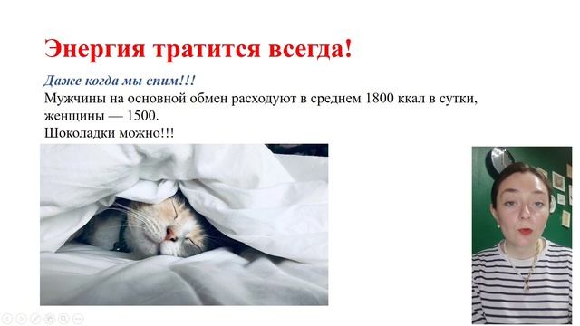 секрет диет🍧 смотреть онлайн
