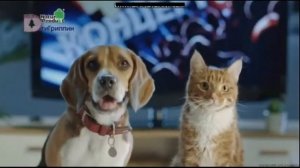 Анонс и реклама (Домашний, 07.12.2019) (11)