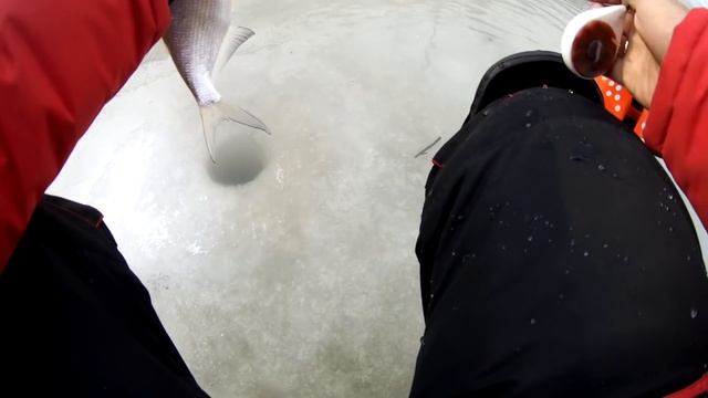 Предзакрытие сезона, ох уж эти браконьеры. смотреть онлайн