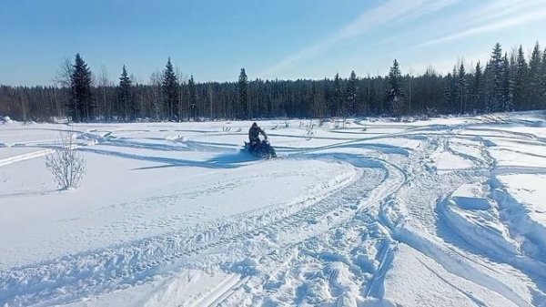 Ирбис тунгус 500 по плотному снегу